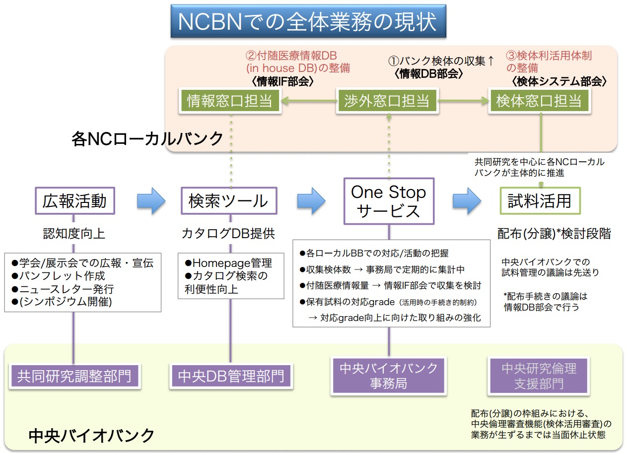 NCBNでのone stopサービスと全体業務の現状