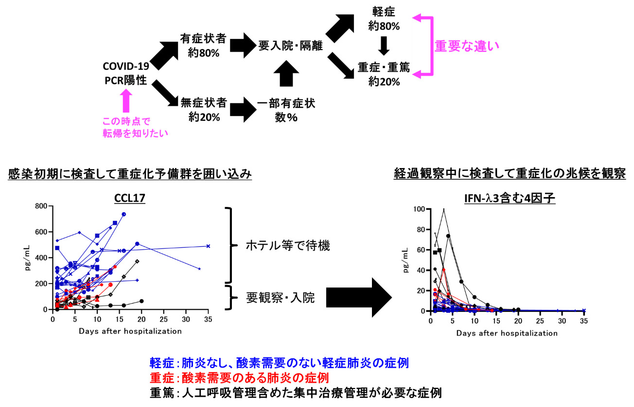 COVID-19の重症化を予測する液性因子の同定