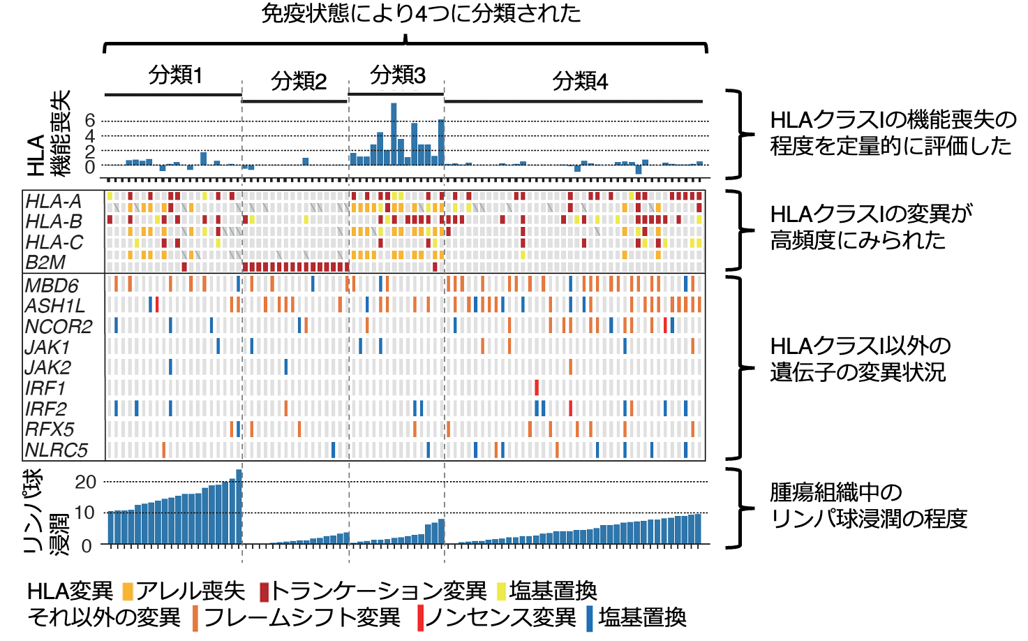 大腸がんが免疫の攻撃から逃れる機序を解明