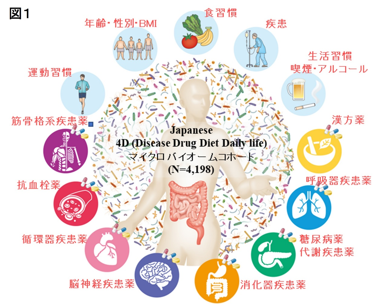 薬の種類や多剤併用が及ぼすヒト腸内細菌への全貌を解明 ~世界に類を