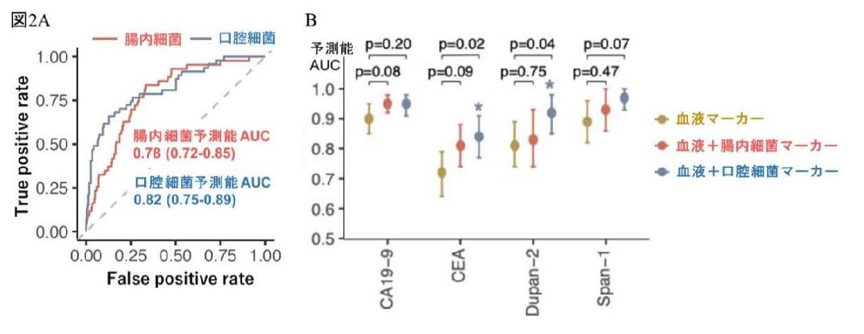 膵臓がんや予後と関連する口腔内細菌・腸内細菌種を発見