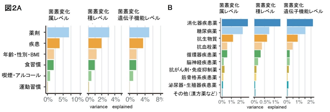 薬の種類や多剤併用が及ぼすヒト腸内細菌への全貌を解明