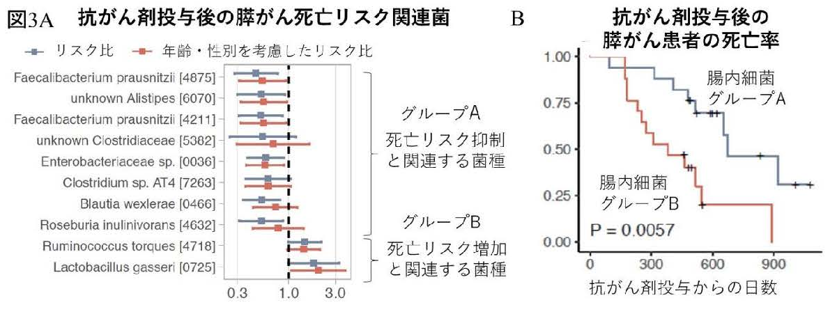 膵臓がんや予後と関連する口腔内細菌・腸内細菌種を発見