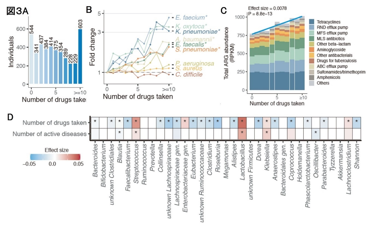 薬の種類や多剤併用が及ぼすヒト腸内細菌への全貌を解明